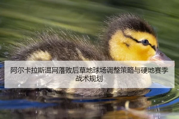 a-er-ka-la-si-wen-wang-luo-bai-hou-cao-di-qiu-chang-tiao-zheng-ce-lve-yu-ying-di-sai-ji-zhan-shu-gui-hua-1-310.jpg