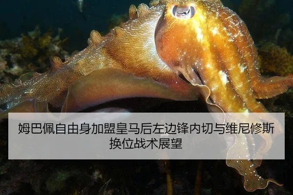 mu-ba-pei-zi-you-shen-jia-meng-huang-ma-hou-zuo-bian-feng-nei-qie-yu-wei-ni-xiu-si-huan-wei-zhan-shu-zhan-wang-3-336.jpg