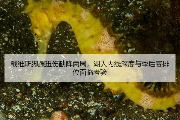 dai-wei-si-jiao-huai-niu-shang-que-zhen-liang-zhou-hu-ren-nei-xian-shen-du-yu-ji-hou-sai-pai-wei-mian-lin-kao-yan-3-664.jpg